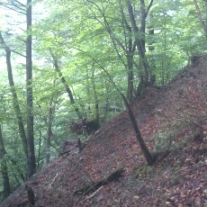 120623_n01.jpg