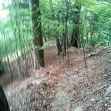 130526_p33.jpg