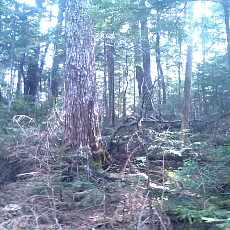 130606_p04.jpg