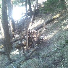 140504_p18.jpg