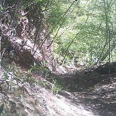 140517_p11.jpg