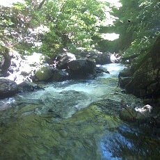 140614_p03.jpg