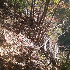 141011_p35.jpg