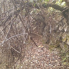 141020_p25.jpg