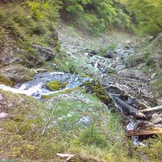 150523_p12.jpg