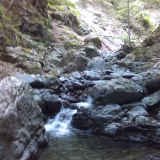 150605_p12.jpg