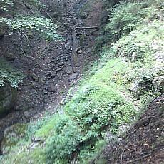 150905_p21.jpg