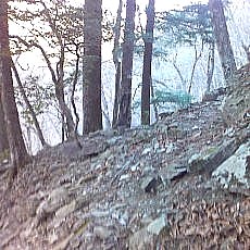 151207_p08.jpg