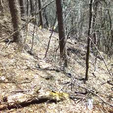 160419-02_p12.jpg