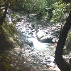 160603_p11.jpg