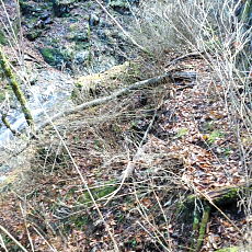 161112_p21.jpg