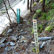 170203_p03.jpg