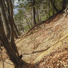 180329_p22.jpg