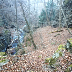 190302_p15.jpg