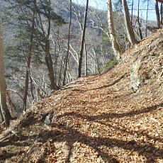 190420_p05.jpg