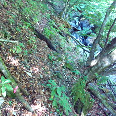200605_p15.jpg