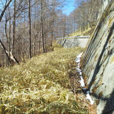 210315_p39.jpg