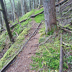 210916_p11.jpg