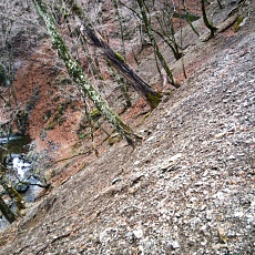 220416_p05.jpg
