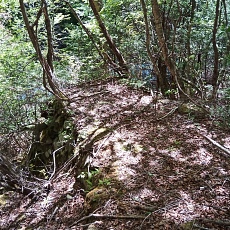 220528_p18.jpg