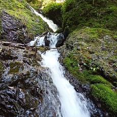 230618_p09.jpg