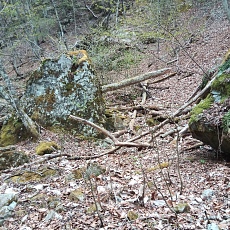 230502_p35.jpg