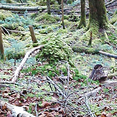 211020_p22.jpg