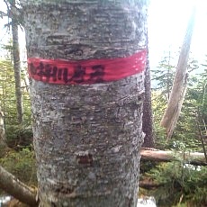 130606_p19.jpg