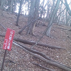 150330_p01.jpg
