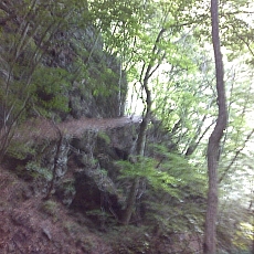 150605_p02.jpg