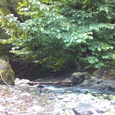 150919_p02.jpg