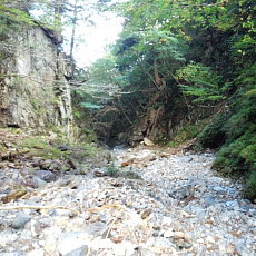 161015_p31.jpg