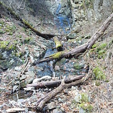 161112_p20.jpg