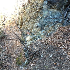 161215_p10.jpg
