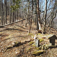 190302_p02.jpg