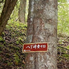 190921_p15.jpg