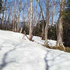 200001_p01.jpg