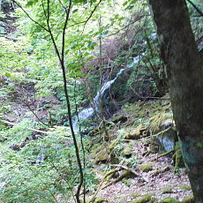 200605_p28.jpg