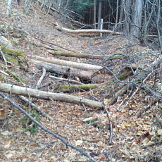 201117_p06.jpg