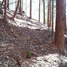 201206_p47.jpg