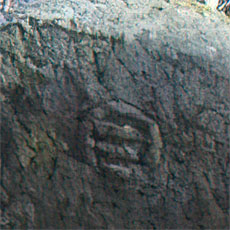 210223_p03.jpg