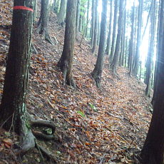 210522_p09.jpg