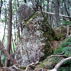 220618_p22.jpg