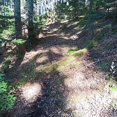 221028_p19.jpg