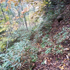 221014_p06.jpg