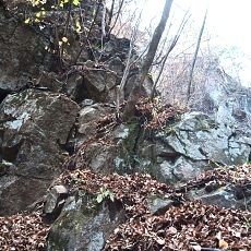231030_p51.jpg
