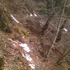 130303_p04.jpg