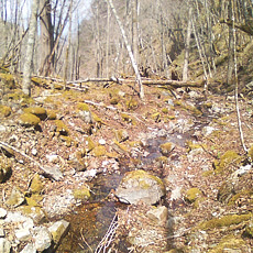 130506_p15.jpg