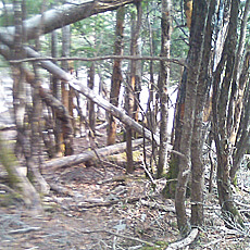 130506_p20.jpg