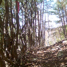 130517_p30.jpg